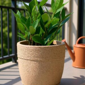 Garden Need Jaguar Cool Pot 12''