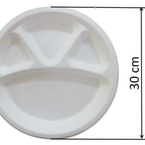 Sugarcane Plate 12