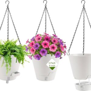 Garden Need Swiss Rovrt Pot 8Inch Hanging