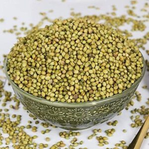 Gota Dhania 100Gm
