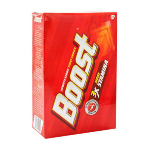 Horlicks Boost 500