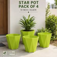 Gardens Muscat Pot 25.4Cm