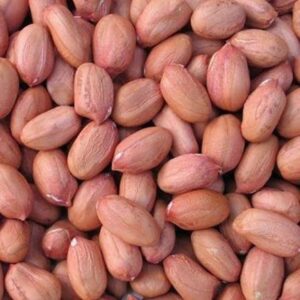 Badam 500Gm