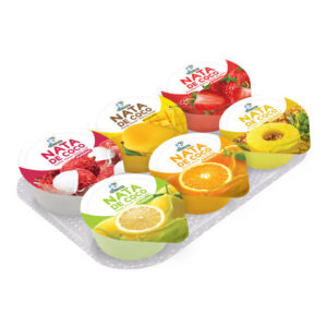 Dolphin Pudding Nata De Coco 85G