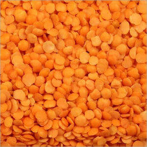 Masur Gr1 1Kg