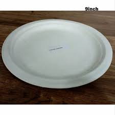 Bio Paper Plate 14