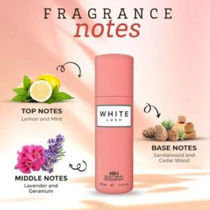 White Lush 48H Body Spray 100Ml