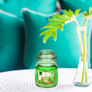 Iris Green Tea & Bamboo Home Fragrance