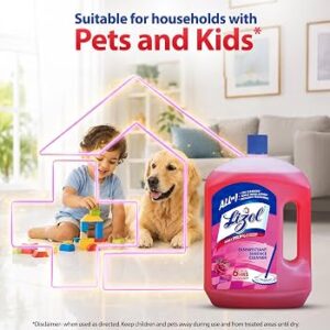 Lizol 10 Xc Floral 2Litrs