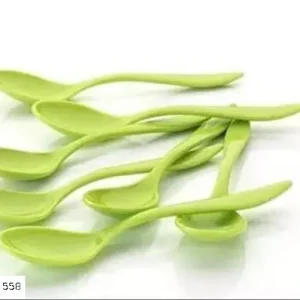 Spoon Plastic 30Pc